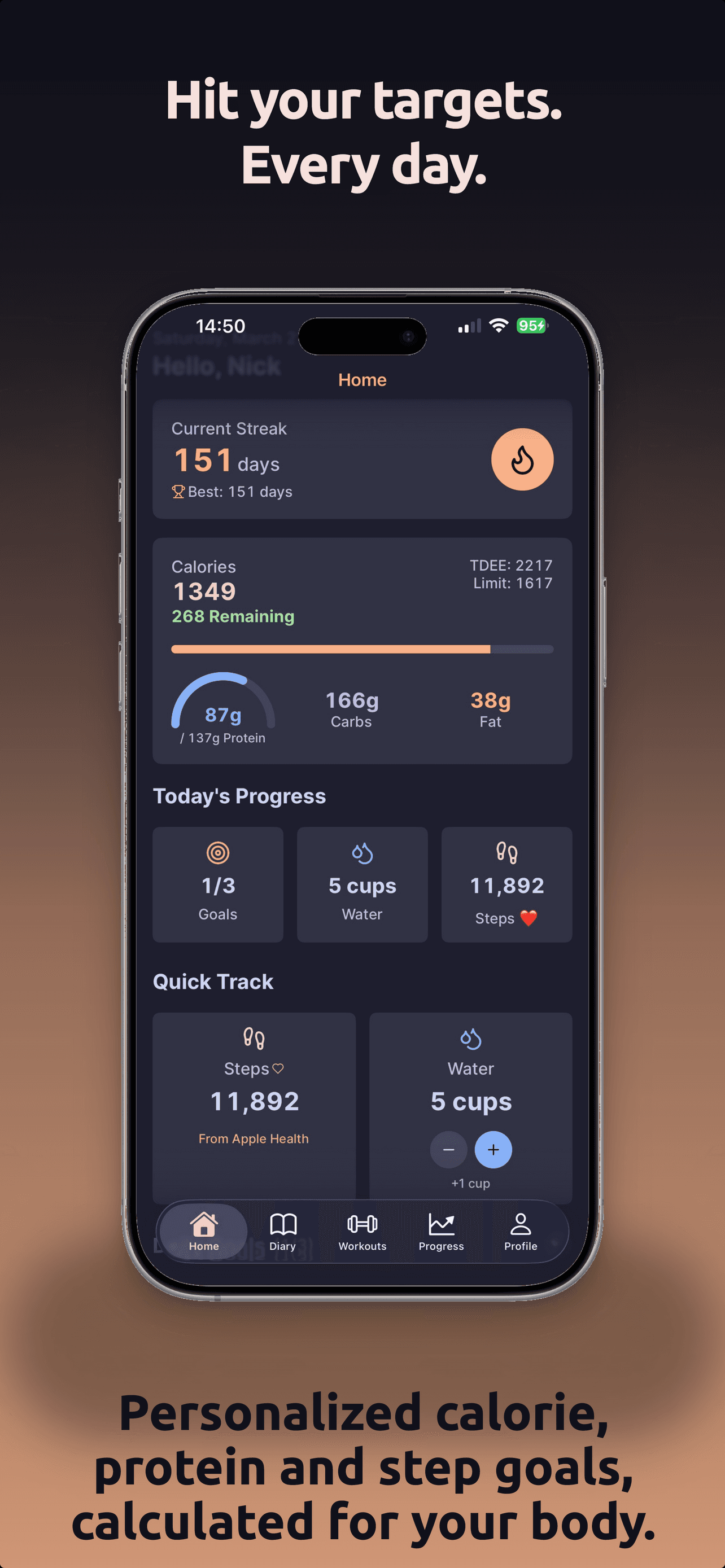 Voice input waveform while the user dictates a meal